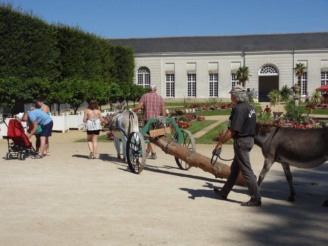 fete ane 2018 (62).JPG